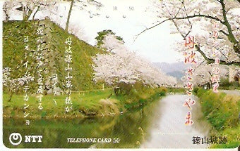 JAP-330-248